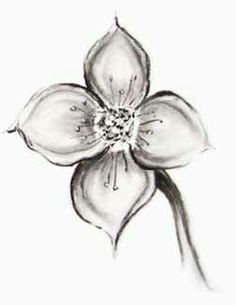 Easy Drawings Of Flowers In Pencil 61 Best Art Pencil Drawings Of Flowers Images Pencil Drawings