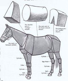 Easy Drawings Of Horses 67 Best Horses Images Horses Drawings Of Horses Drawing Techniques