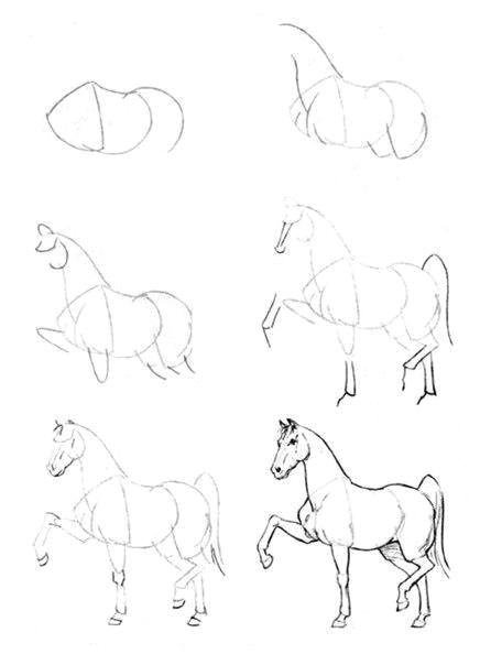 Easy Drawings Of Horses How to Draw A Horse Drawings Drawings Horse Drawings Art Drawings
