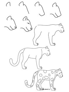 Easy Drawings Of Jaguars 1776 Best I Want to Draw Please Images Easy Drawings Drawing