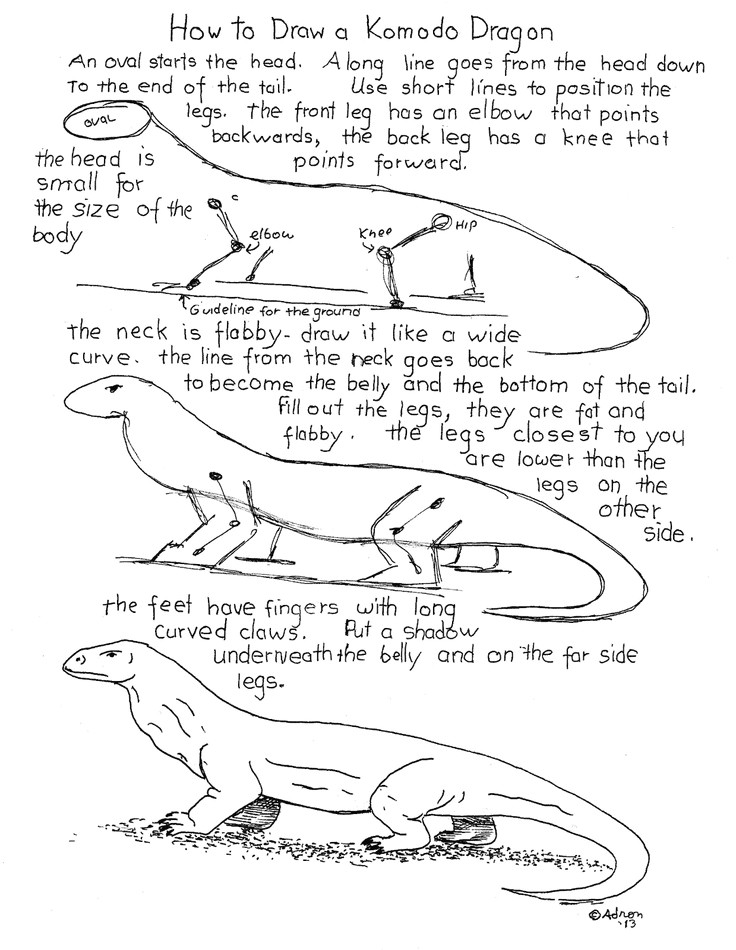 Easy Drawings Of Komodo Dragons 13 Best Noah School Images On Pinterest Fair Projects Animal