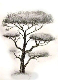 Easy Drawings Of Trees 156 Best Drawing Trees Images In 2019 Drawing Trees Tree Drawings