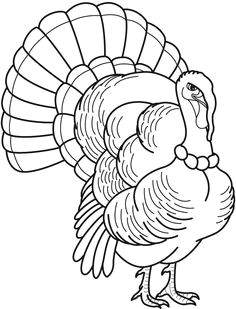 Easy Drawings Of Turkeys 34 Best Turkey Images Coloring Pages Colouring Pages Printable