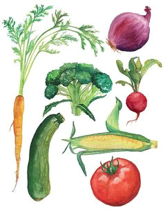 Easy Drawings Of Vegetables 39 Best Vegetable Drawing Images Wine Cellars Painting Art