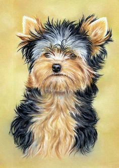 Easy Drawings Of Yorkies 161 Best Cartoon Yorkies Images Dog Paintings Drawings Of Dogs