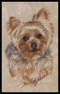 Easy Drawings Of Yorkies 161 Best Cartoon Yorkies Images Dog Paintings Drawings Of Dogs