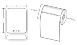 Easy Drawings Of Zebras Zebra 800540 505 Compatible 4 X 5 Premium Direct thermal Paper