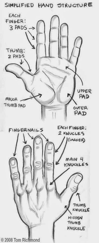 Easy Drawings On Your Hand the Structure Of Hand Study Realistic Hyper Art Pencil Art 3d