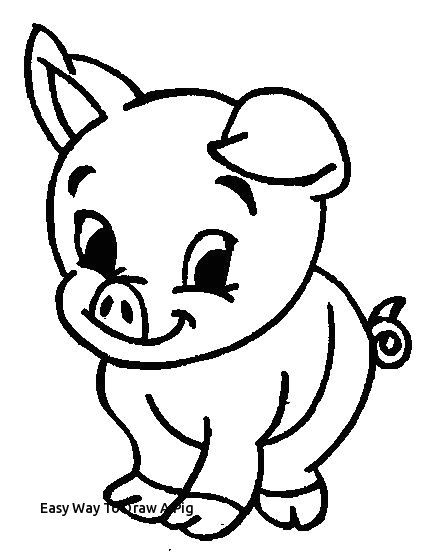 Easy Drawings Pig Easy Way to Draw A Pig 19 Best Pig Drawings Images On Pinterest