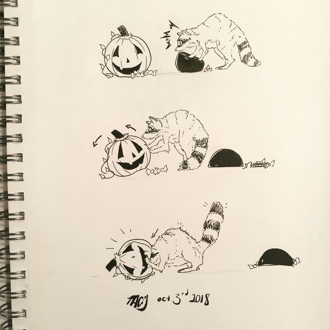 Easy Drawings Pumpkin Inktober Day 3 A Raccoon Gets In some Trouble Swipe for More Comic