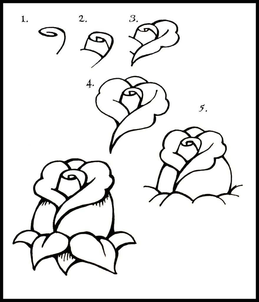 Easy Drawings Roses Step Step 100 Best How to Draw Tutorials Flowers Images Drawing Techniques