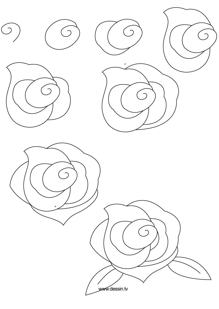 Easy Drawings Roses Step Step 100 Best How to Draw Tutorials Flowers Images Drawing Techniques