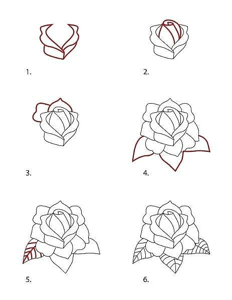 Easy Drawings Roses Step Step Pin by Leidy Velez On Dibujos Drawings Tattoos Art Drawings