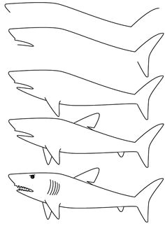 Easy Drawings Shark 1533 Best Draw Easy Images Sketches Easy Drawings Simple Drawings