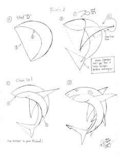 Easy Drawings Shark 33 Best How to Draw Fish Images Easy Drawings Drawing Techniques