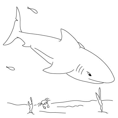 Easy Drawings Shark Step by Step for How to Draw A Shark Kid Crafts Drawings