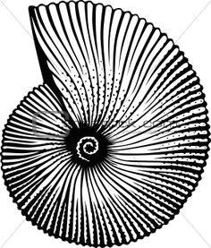 Easy Drawings Under the Sea 27 Best Seashell Drawings Images Paintings Sea Shells Shell Drawing
