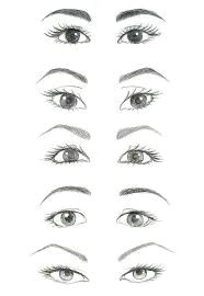 Easy Eyebrow Drawings 133 Best How to Draw Eyebrows Images Beauty Makeup Draw Drawing