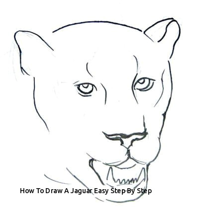 Easy Jaguar Drawings How to Draw A Jaguar Easy Step by Step Prslide Com
