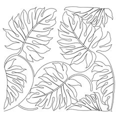 Easy Jungle Drawings 103 Best Jungle Pattern Images Jungle Pattern Graphic Art