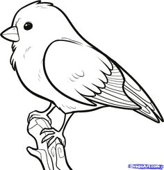 Easy Jungle Drawings How to Draw A Bird Step by Step Easy with Pictures Birds