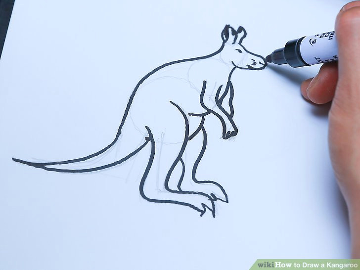 Easy Kangaroo Drawings 3 Ways to Draw A Kangaroo Wikihow