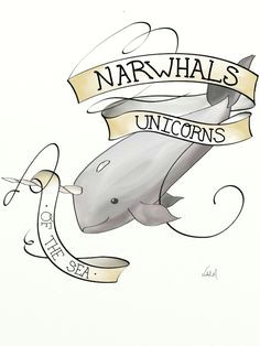 Easy Narwhal Drawings 232 Best Narwhal Drawing Images Narwhal Drawing Unicorns Narwhal