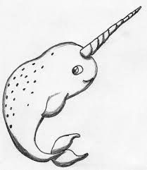 Easy Narwhal Drawings 232 Best Narwhal Drawing Images Narwhal Drawing Unicorns Narwhal