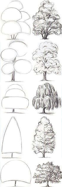 Easy Nature Drawings Step by Step 1288 Best Basic Drawing Images