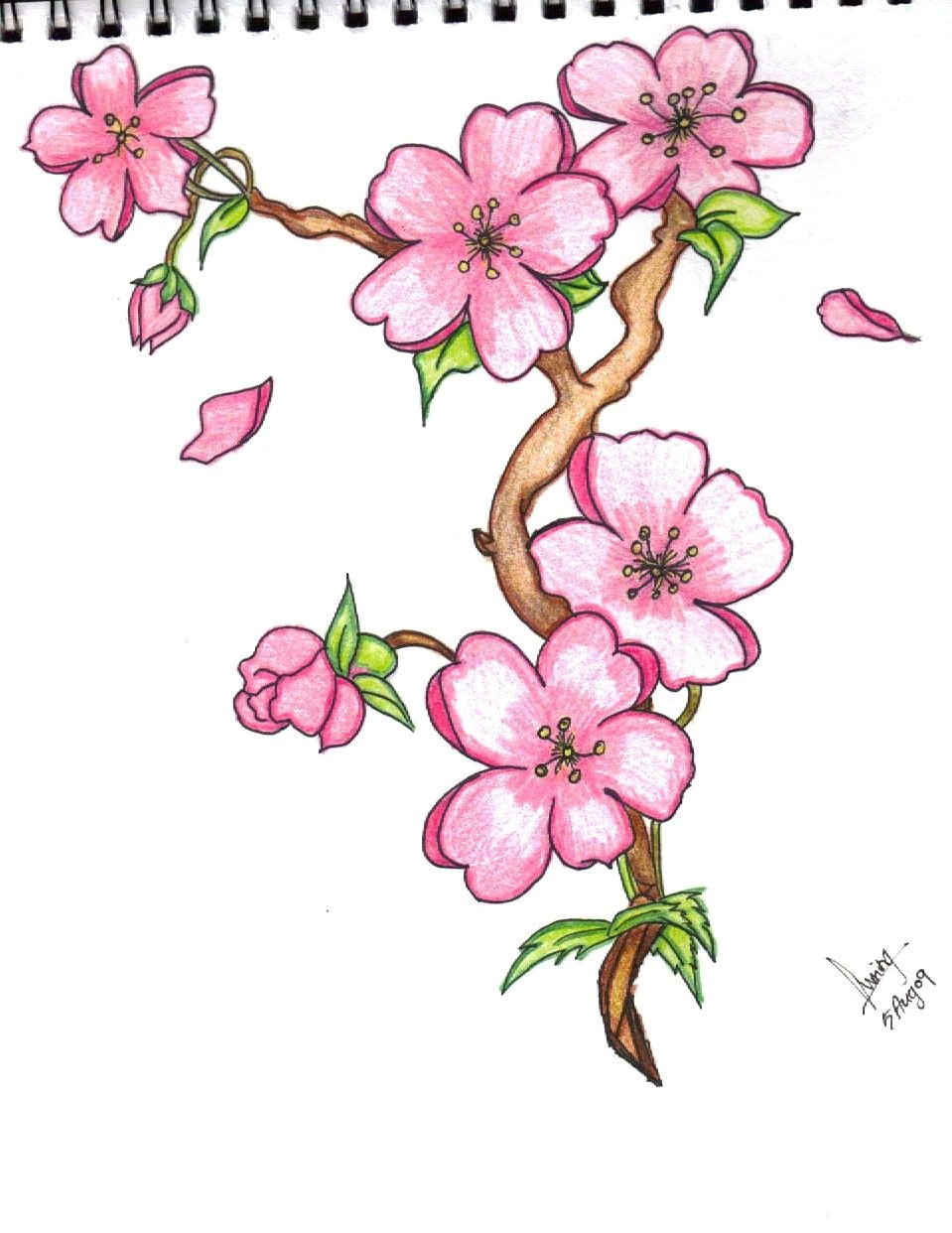 Easy Nature Drawings with Color Pin by Marvin todd On Drawing Flowers In 2019 Pinterest Drawings