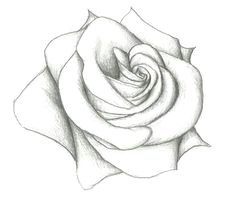Easy Pencil Drawings Of Roses and Hearts 13 Best Me Images