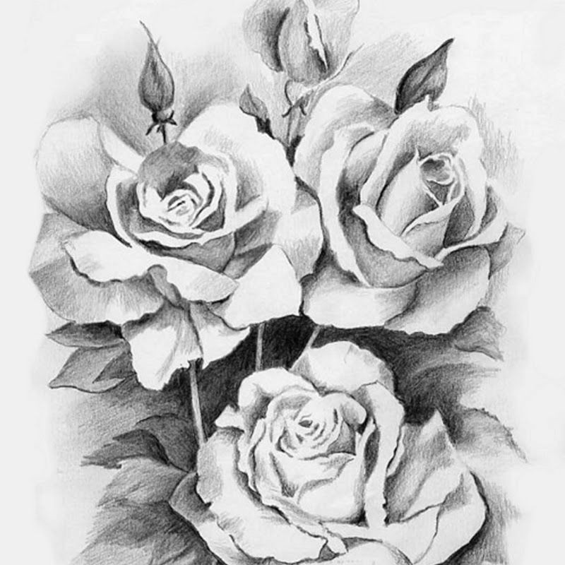 Easy Pencil Drawings Of Roses and Hearts Pencil Drawings Of Flowers Google Search Draw Pinte