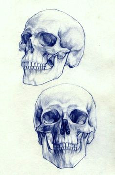 Easy Skull Drawings for 9 Year Olds 8 Best Drawings Of Skulls Images Easy Skull Drawings Half Sleeve