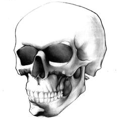 Easy Skull Drawings for 9 Year Olds 8 Best Drawings Of Skulls Images Easy Skull Drawings Half Sleeve