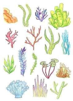 Easy Underwater Drawings Drawing Underwater Coral Reef Coral Reef Pinterest Coral Reef