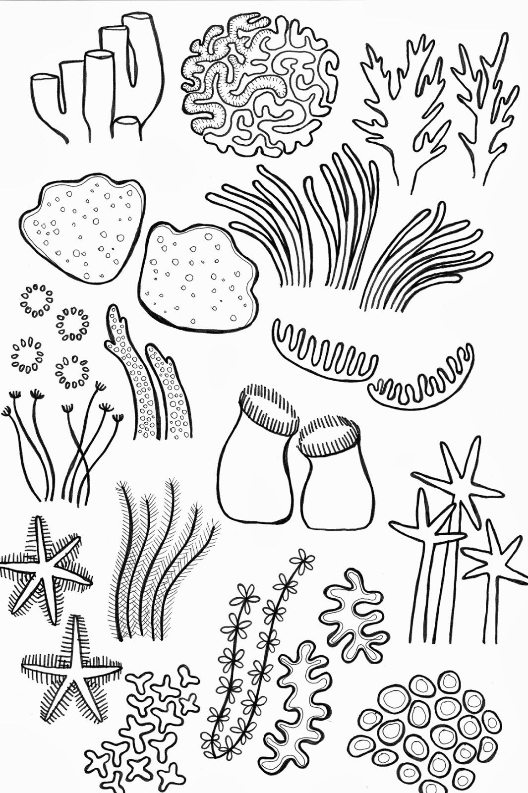 Easy Underwater Drawings Drawing Underwater Coral Reef Coral Reef Pinterest Coral Reef