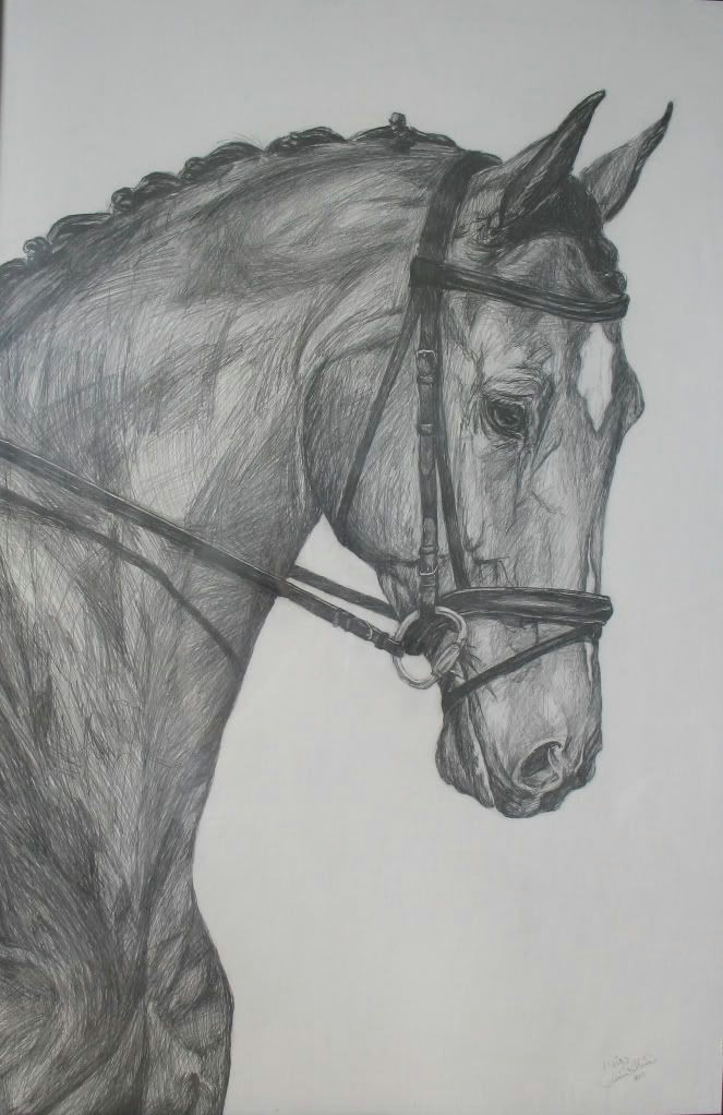 Easy Value Drawings Pencil Drawings Pencil Drawing Learn Drawing Horses Pencil