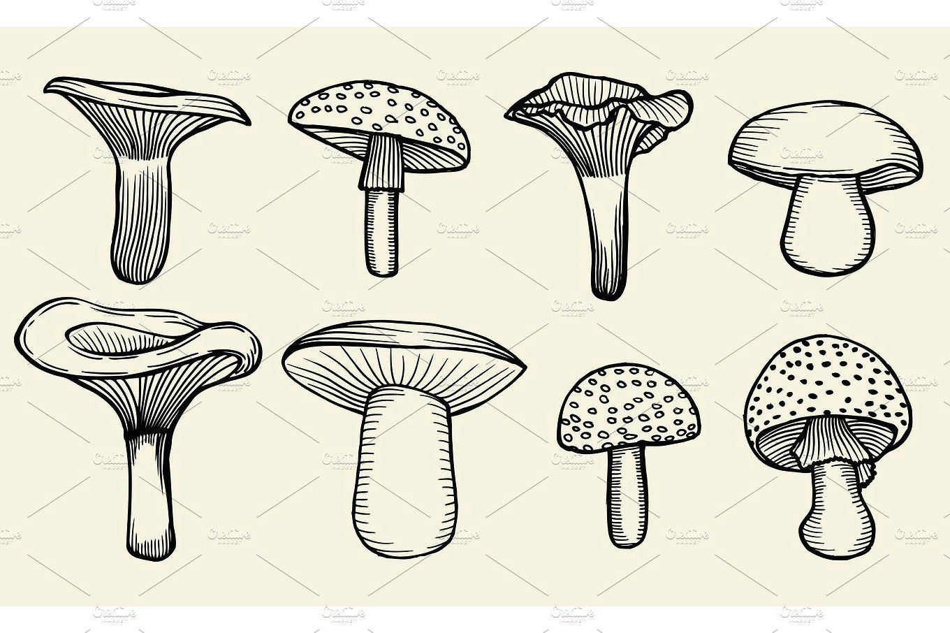 Easy Vintage Drawings Hand Drawn Vintage Mushrooms by Vector Videoartshop On
