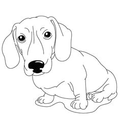 Easy Wiener Dog Drawing 16 Best Dachshund Coloring Pages Images Weenie Dogs Dachshund Dog