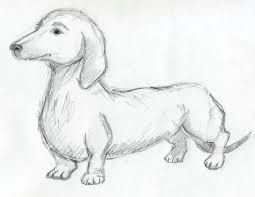 Easy Wiener Dog Drawing Dachshund Clube Arte Dachshund 03 Pinterest Dachshunds and Animal