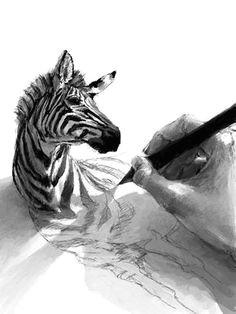 Easy Zebra Drawings 45 Best Zebra Drawing Images Zebra Art Zebra Drawing Zebra Painting