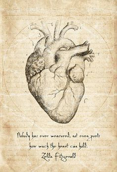 Even Chance Of Drawing A Heart 45 Best Heart Anatomy Images Heart Anatomy Cardiology Nurses