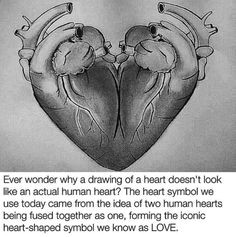 Ever Wonder why A Drawing Of A Heart 24 Best Art Images On Pinterest Drawings Draw and Drawing S