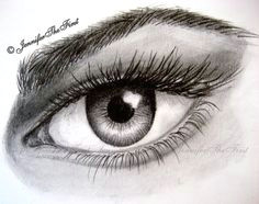 Eye Drawing X 47 Best Vivid Eyes Hand Drawn Images