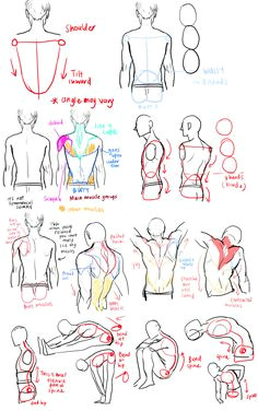 Figure Drawing Reference Tumblr 79 Best Male Anatomy Reference Images Figure Drawing Body