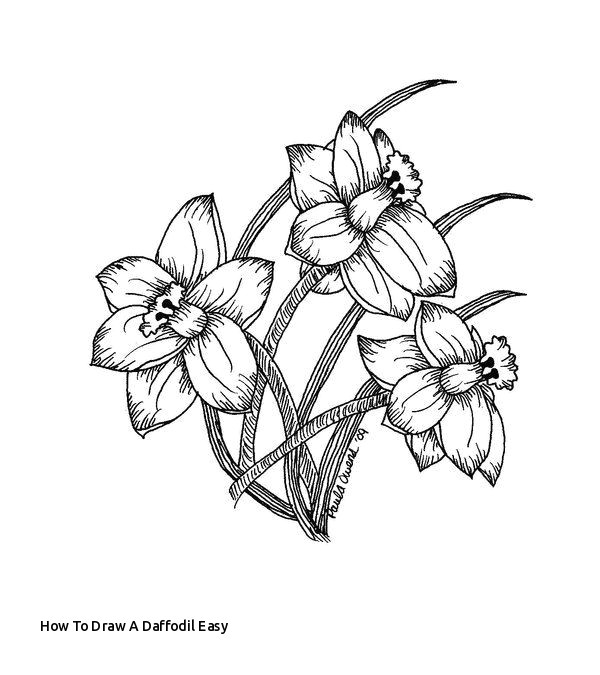 Flower Drawing Tumblr Easy How to Draw A Daffodil Easy the 21 Best Daffodil Flower Tattoo