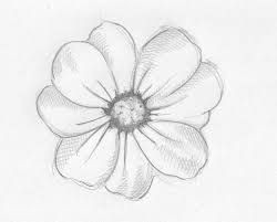 Flower Drawing Tumblr Easy Image Result for Flower Drawings Flower Drawings Pinterest