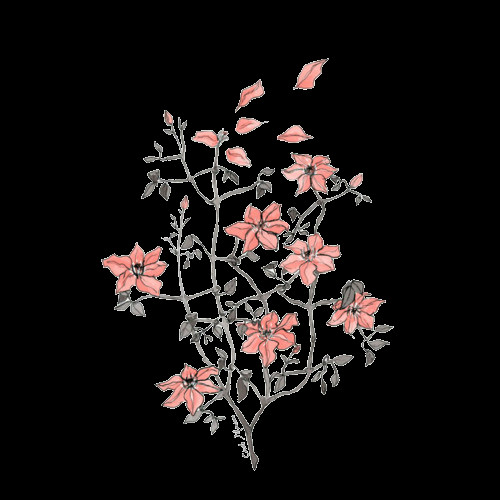 Flower Drawing Tumblr Transparent Arabella Artsy Art In 2019 Drawings Flowers Flower Drawing