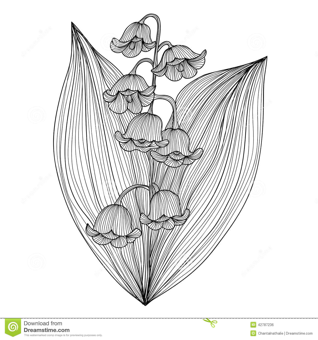 Flowers Drawing Decoration Floral Decoration Stock Vector Illustration Of Arrangement 42787236