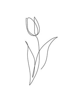 Flowers Drawing Easy with Names 215 Best Flower Sketch Images Images Flower Designs Drawing S